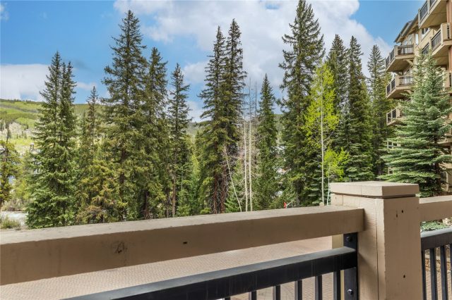 280 Trailhead Drive 3007 photo 16