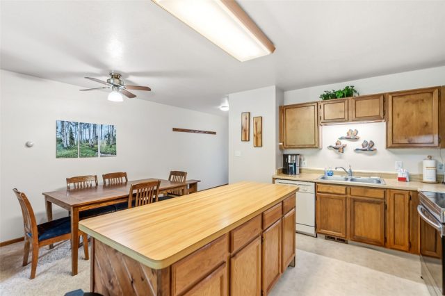 10500 Ryan Gulch Road J-104 photo 9