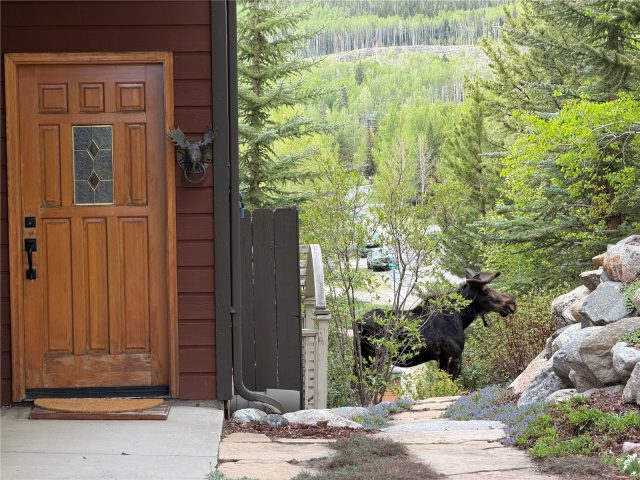 Duplex in 600 Frisco Street Homesites, Frisco, CO — photo 2 (MLS S1069391)