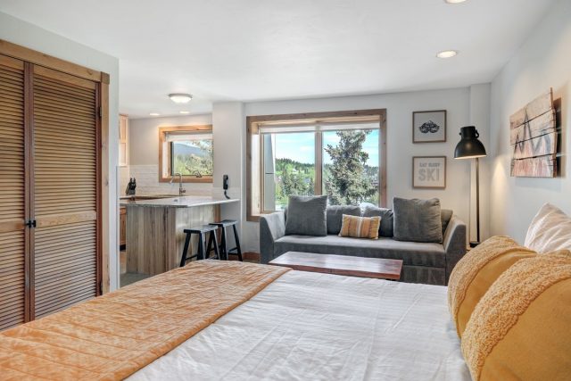 Condo in Liftside Condo, Breckenridge, CO — photo 2 (MLS S1069405)
