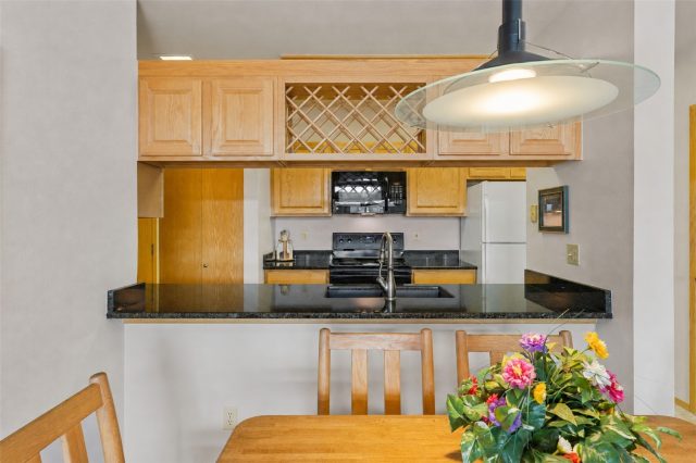 1650 Lakeview Terrace E-201 photo 13