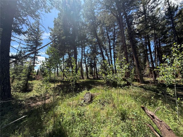 Tbd Spring Creek Ranch Road photo 13