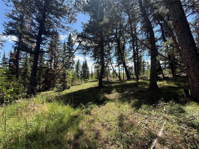Tbd Spring Creek Ranch Road photo 14