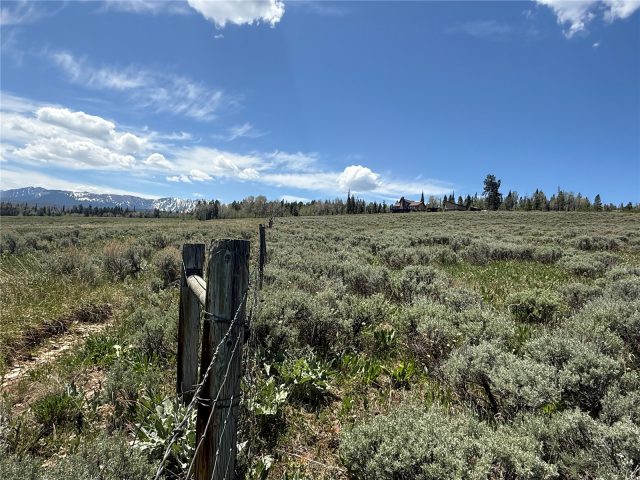 Tbd Spring Creek Ranch Road photo 15