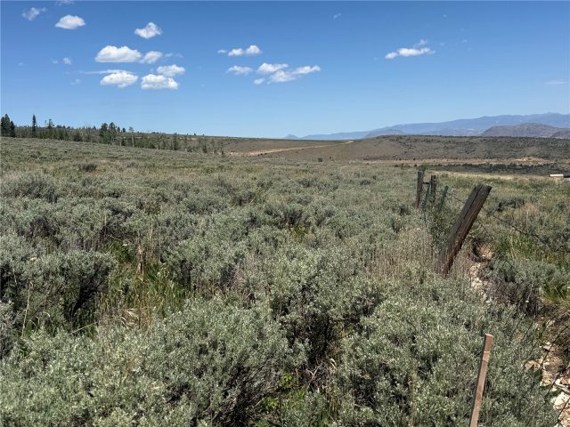Tbd Spring Creek Ranch Road photo 16