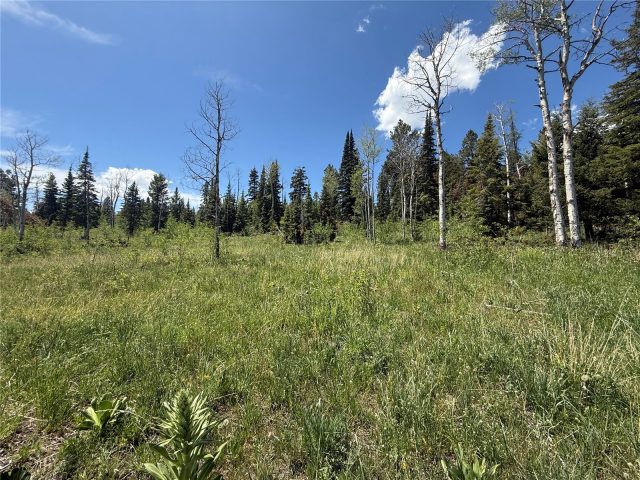 Tbd Spring Creek Ranch Road photo 17