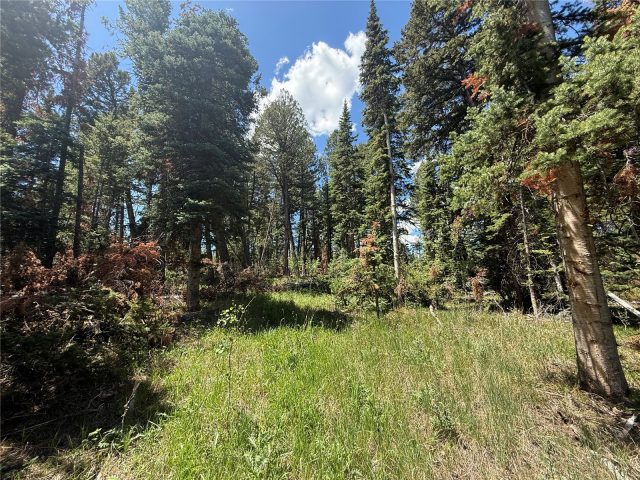 Tbd Spring Creek Ranch Road photo 18