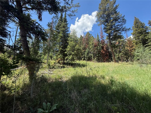 Tbd Spring Creek Ranch Road photo 19