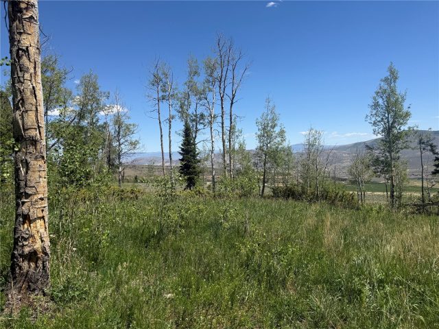 Tbd Spring Creek Ranch Road photo 20