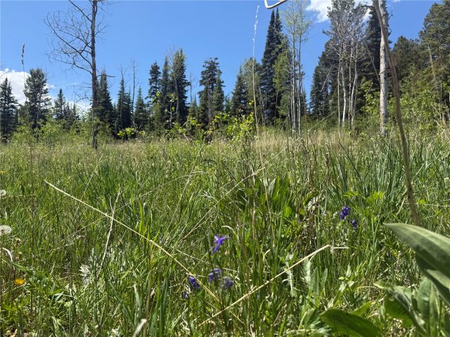 Tbd Spring Creek Ranch Road photo 21