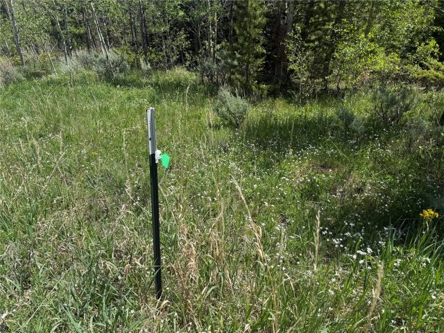 Tbd Spring Creek Ranch Road photo 22