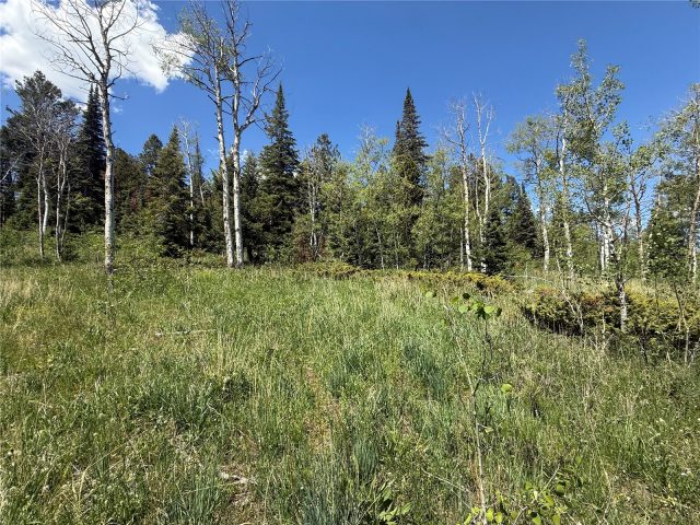 Tbd Spring Creek Ranch Road photo 23