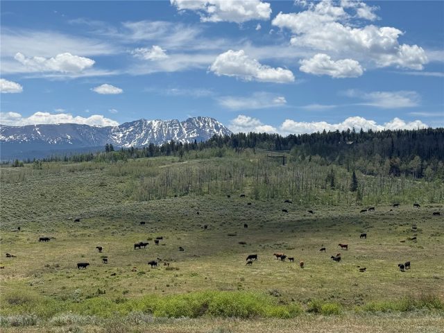 Tbd Spring Creek Ranch Road photo 24