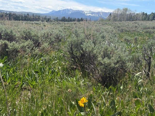 Tbd Spring Creek Ranch Road photo 25