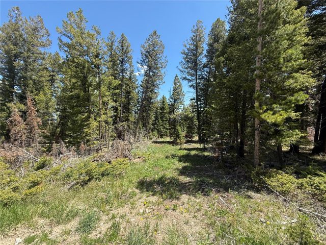 Tbd Spring Creek Ranch Road photo 29