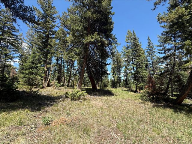 Tbd Spring Creek Ranch Road photo 30