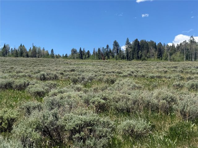 Tbd Spring Creek Ranch Road photo 32