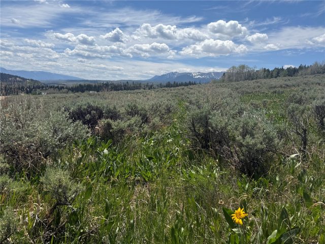 Tbd Spring Creek Ranch Road photo 34