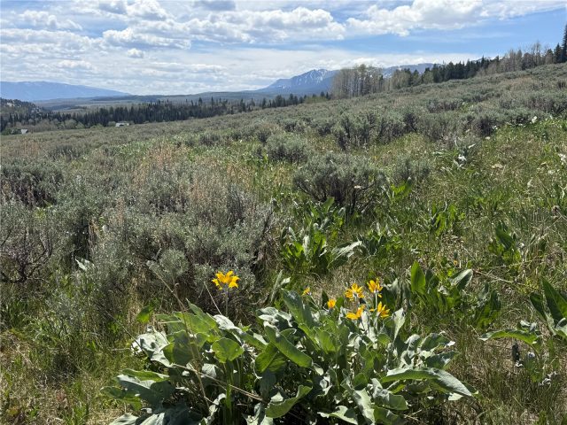 Tbd Spring Creek Ranch Road photo 35