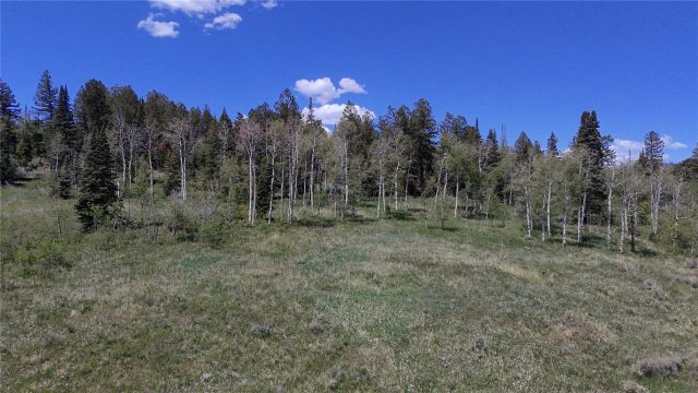 Tbd Spring Creek Ranch Road photo 36