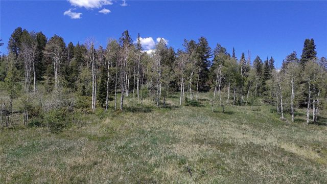 Tbd Spring Creek Ranch Road photo 37
