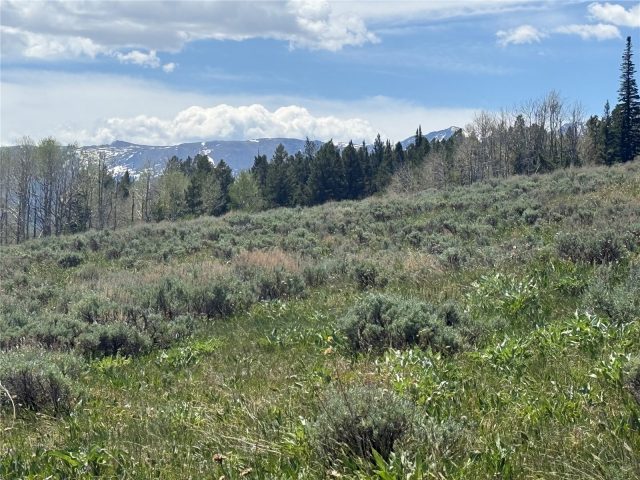 Tbd Spring Creek Ranch Road photo 45