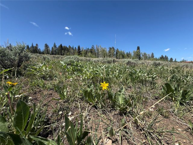 Tbd Spring Creek Ranch Road photo 48