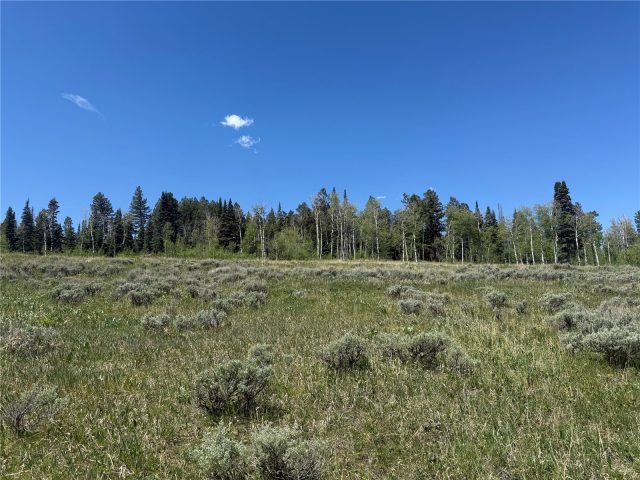 Tbd Spring Creek Ranch Road photo 49