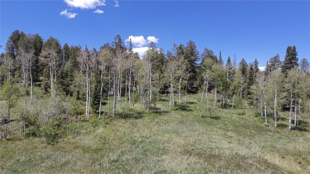 Residential in Spring Creek Ranch Sub, Silverthorne — photo 4 Residential in Spring Creek Ranch Sub, Silverthorne, CO — photo 4 (MLS S1069413)