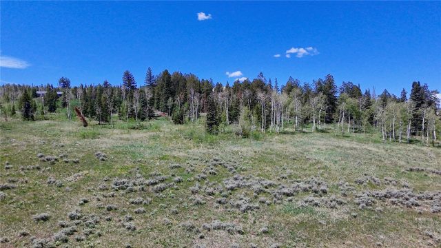 Tbd Spring Creek Ranch Road photo 8