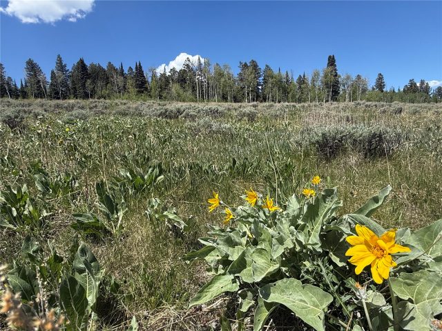 Tbd Spring Creek Ranch Road photo 9
