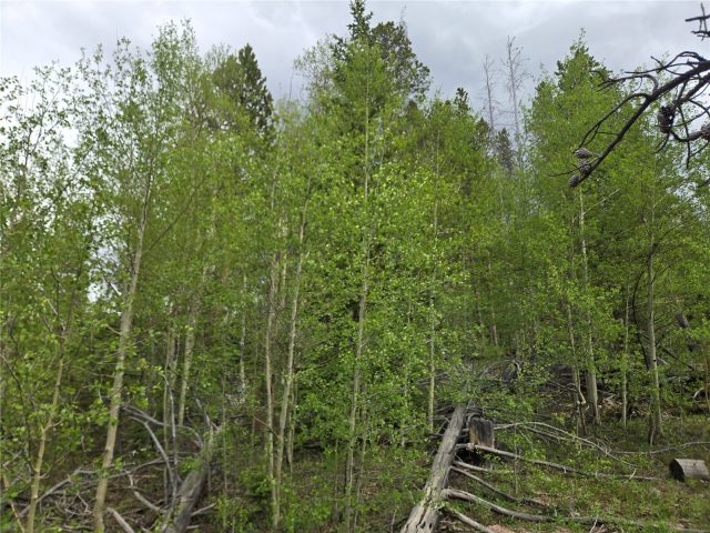 Land in Peak Seven West Sub, Breckenridge, CO — photo 3 (MLS S1069447)