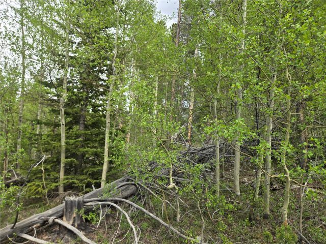 Land in Peak Seven West Sub, Breckenridge, CO — photo 4 (MLS S1069447)