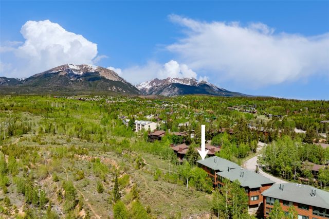 Condo in Retreat At Wildernest, Silverthorne, CO — photo 4 (MLS S1069460)