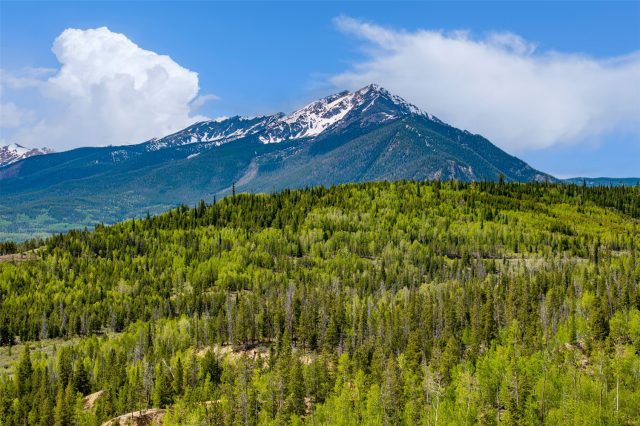 Condo in Retreat At Wildernest, Silverthorne, CO — photo 6 (MLS S1069460)