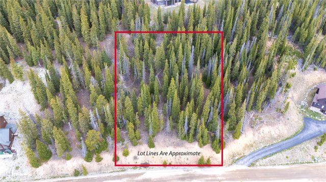 301 Kimmes Lane, Breckenridge, CO — main photo