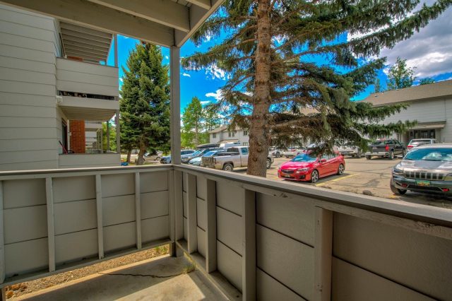 515 Straight Creek Drive 107 photo 21