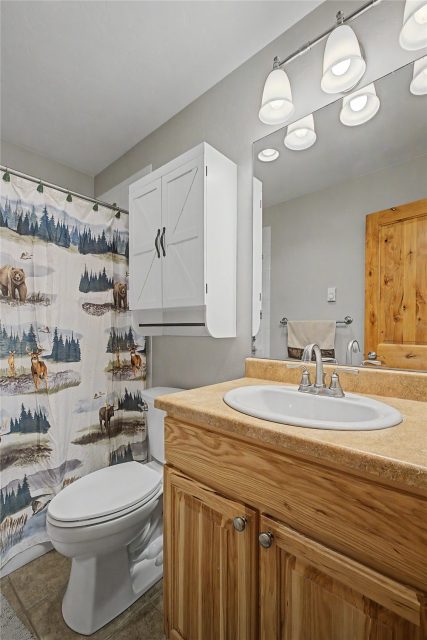 6726 Ryan Gulch Road 6726 photo 31