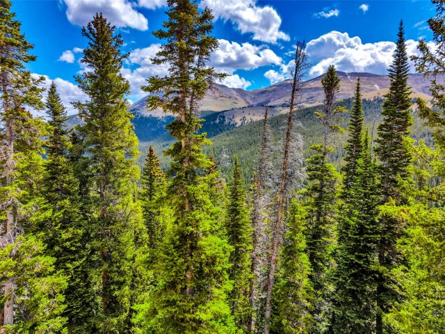 Land in Quandary Village Sub Aka Northstar Village, Breckenridge, CO — photo 1 (MLS S1069516)