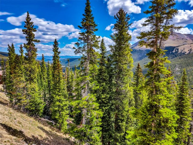 Land in Quandary Village Sub Aka Northstar Village, Breckenridge, CO — photo 2 (MLS S1069516)