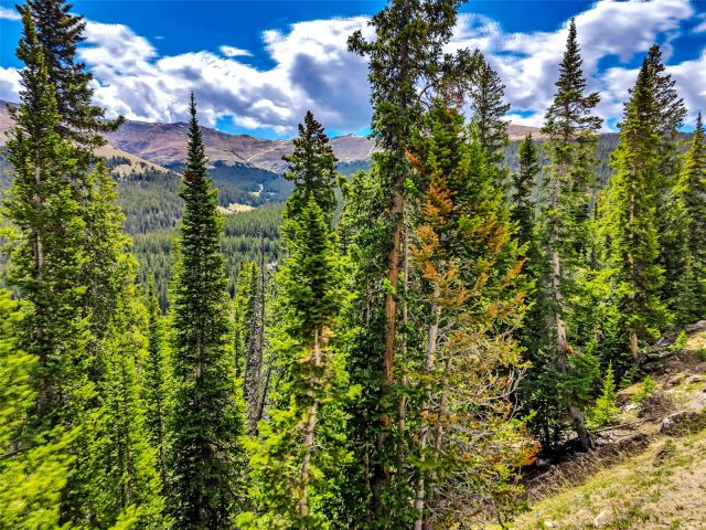 Land in Quandary Village Sub Aka Northstar Village, Breckenridge, CO — photo 3 (MLS S1069516)