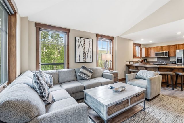 Condo in Mountain Thunder Lodge, Breckenridge, CO — photo 2 (MLS S1069529)