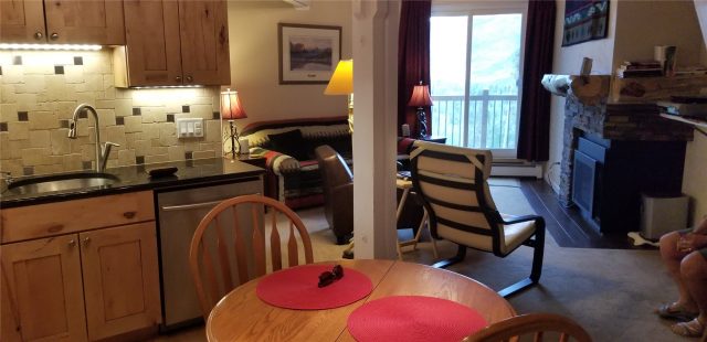 Condo in Treehouse Condo, Silverthorne, CO — photo 6 (MLS S1069530)