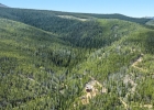 653 Summit Gulch Road photo 10