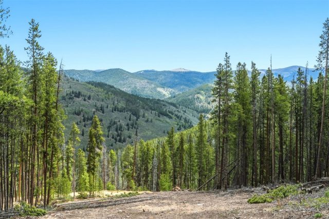 653 Summit Gulch Road photo 12