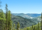 653 Summit Gulch Road photo 12