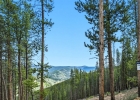 653 Summit Gulch Road photo 14