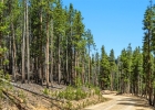 653 Summit Gulch Road photo 5