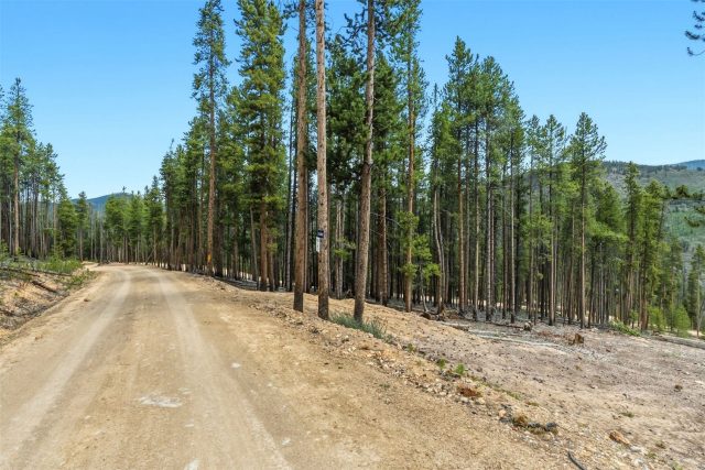 Land in Headlight Sub, Breckenridge, CO — photo 6 (MLS S1069538)
