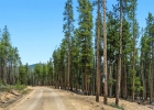 653 Summit Gulch Road photo 6